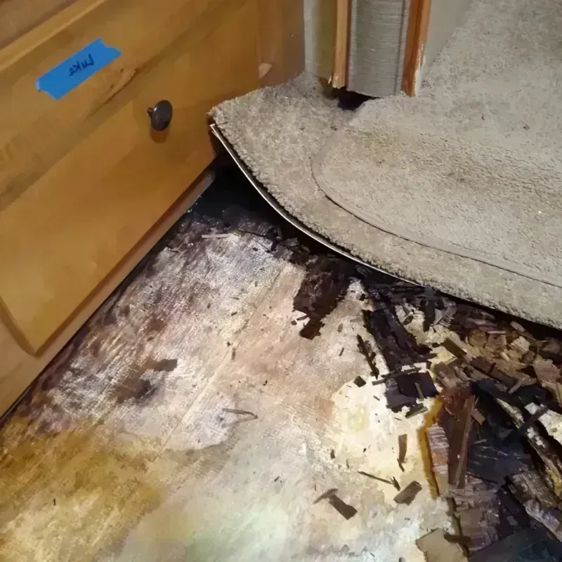 Best Wood Floor Water Damage Service in Carol City, FL